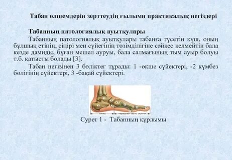 Жас сұлулық қос аналға жазылды.