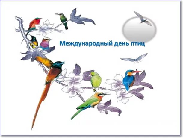 Еще две недели птицы. Международный день птиц. Международный день Пти. Международный день птиц рисунок. Международный день птиц плакат.