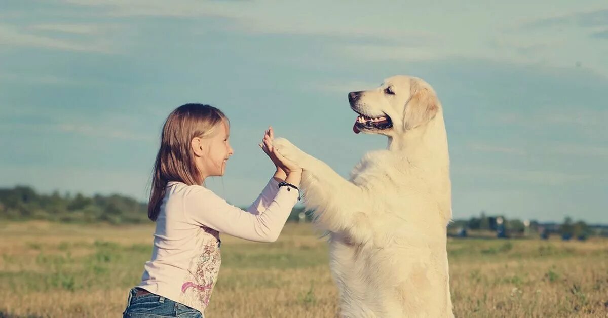 Собака и человек стали друзьями. Собака друг человека. Люди и животные. Собака преданный друг. Дружба собаки и человека.
