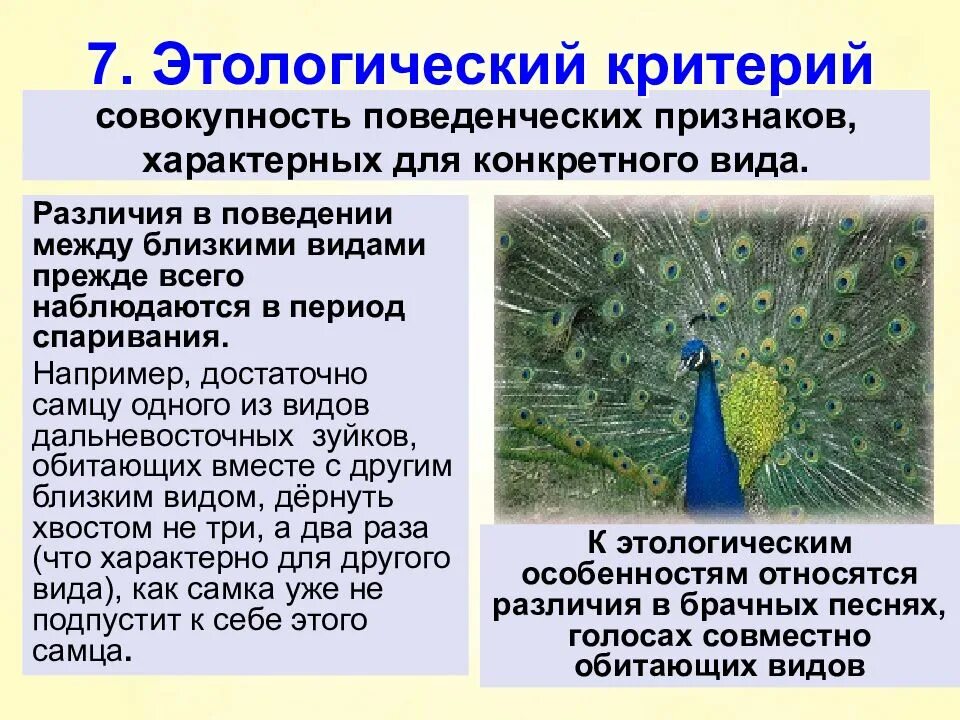 Виды и их критерии. Поведенческий критерий вида. вид и его критерии. презентация виды и его критерии. вид его критерии и структура презентация.