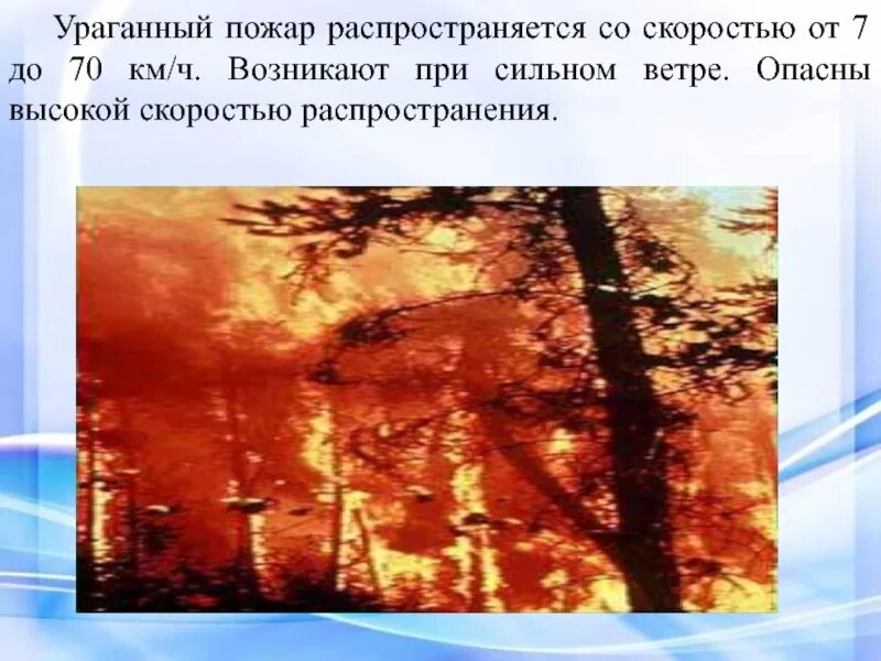 Сильные ветры возникают в. Ураганный пожар. Скорость распространения природного пожара. Ветер и природные пожары. Скорость распространения степного пожара.