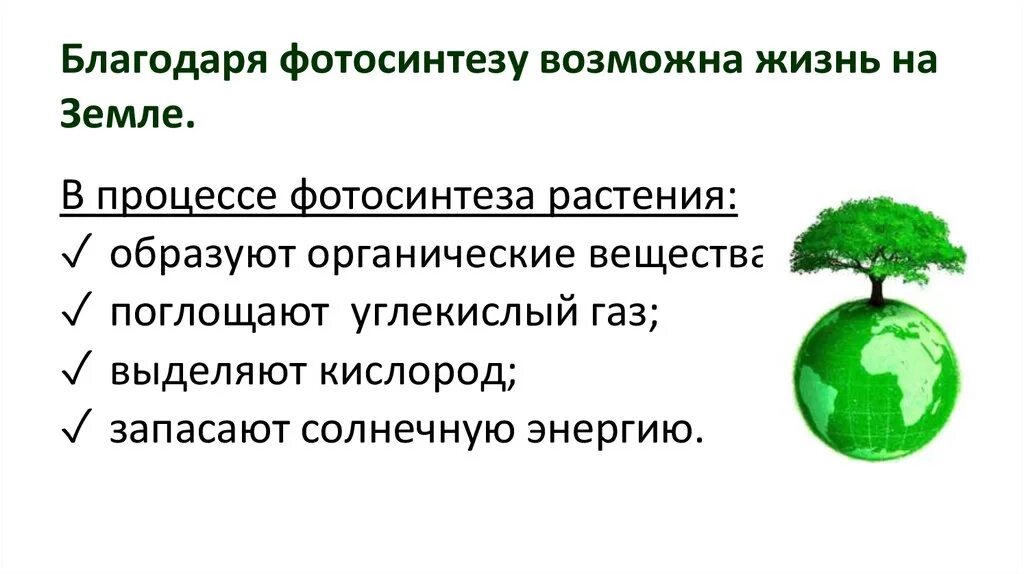 Роль фотосинтеза для жизни на земле. Значение фотосинтеза в природе. Функции фотосинтеза. Космическая роль фотосинтеза. В чем заключается космическая роль фотосинтеза.