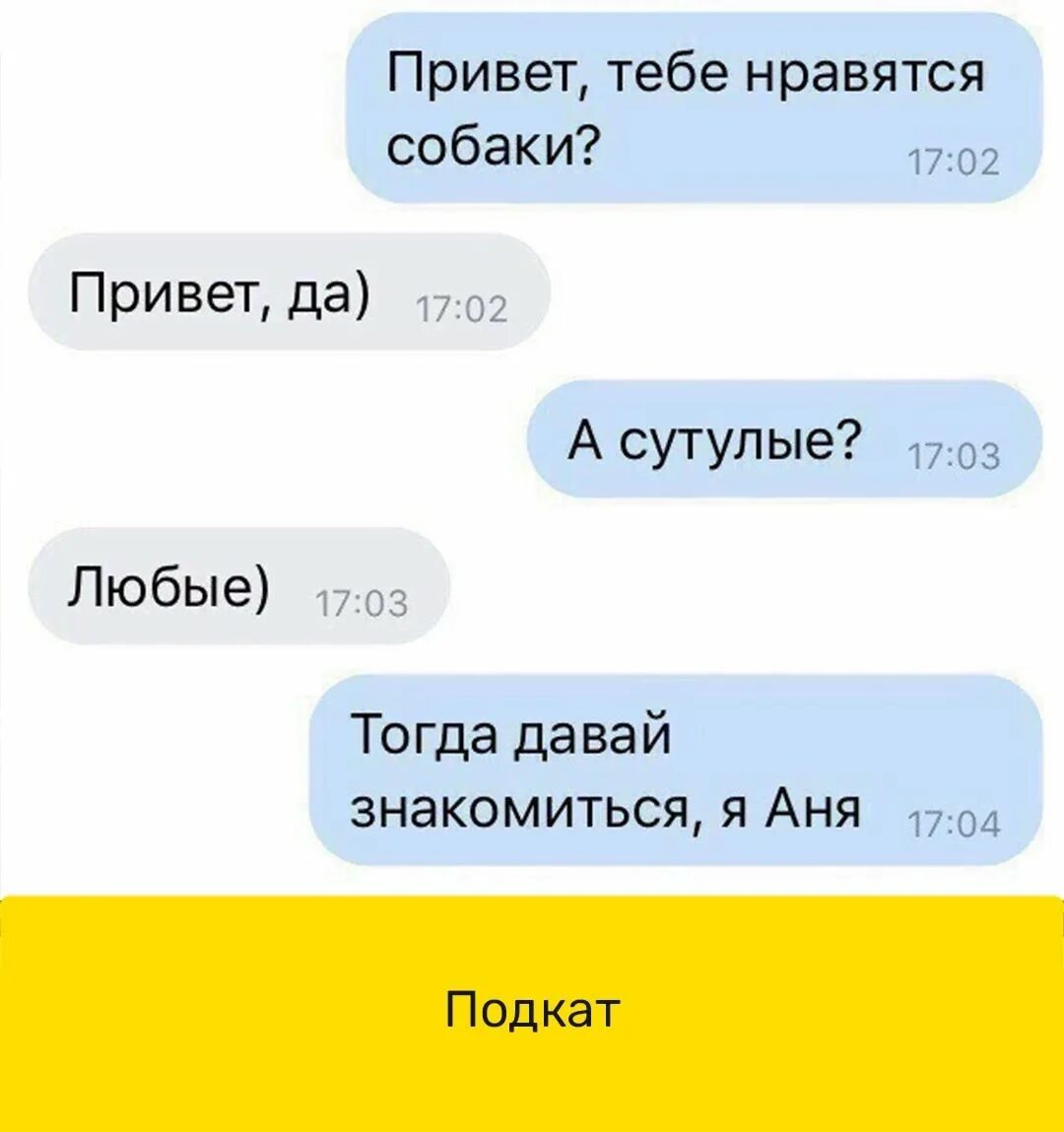 Собака сутулая Мем. Тебе нравятся собаки а сутулые. Тебе нравятся собаки. Мемы про собаку сутулую. Пошлый привет