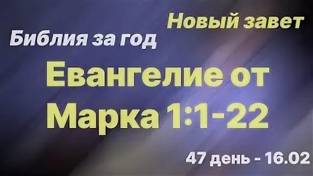 Библия за год день 282. Библия за год день 282. День библии 2022. Библия за год день 111. Библия за год план.