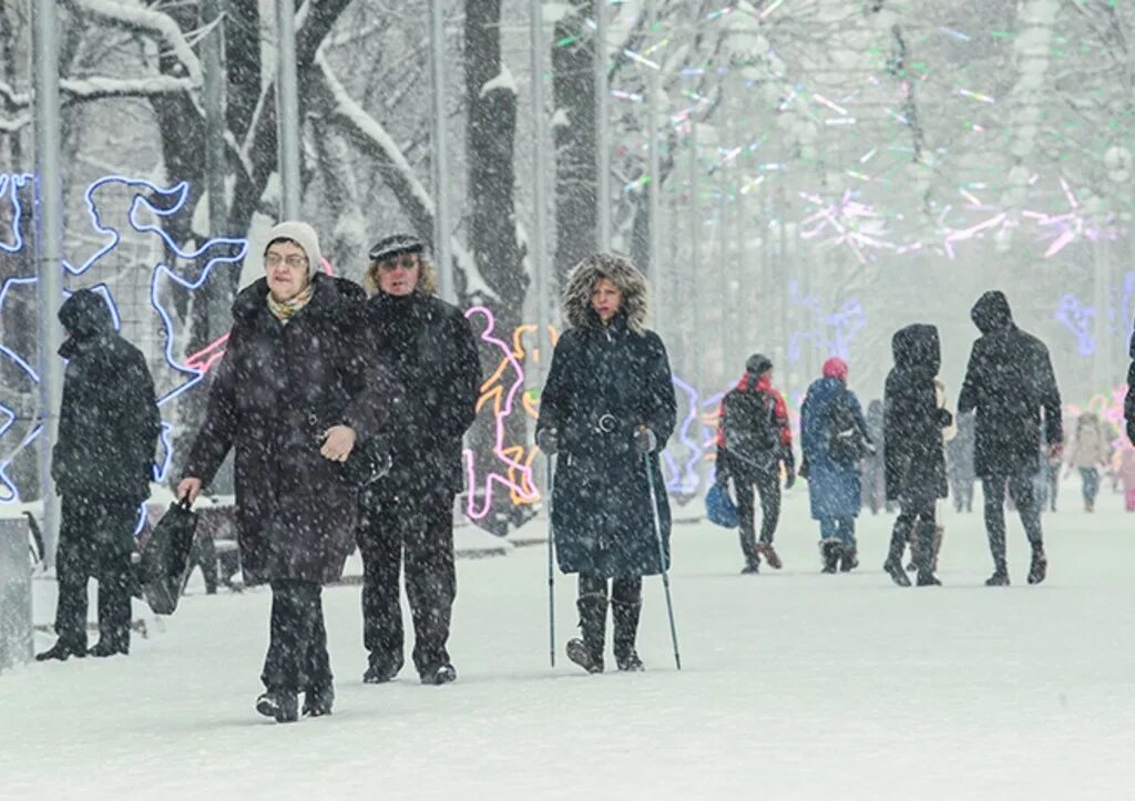 Что происходит в живой природе зимой. Что изменится в жизни россиян. С первым декабря. Какие изменения произойдут в декабре. Какие изменения произойдут в декабре.