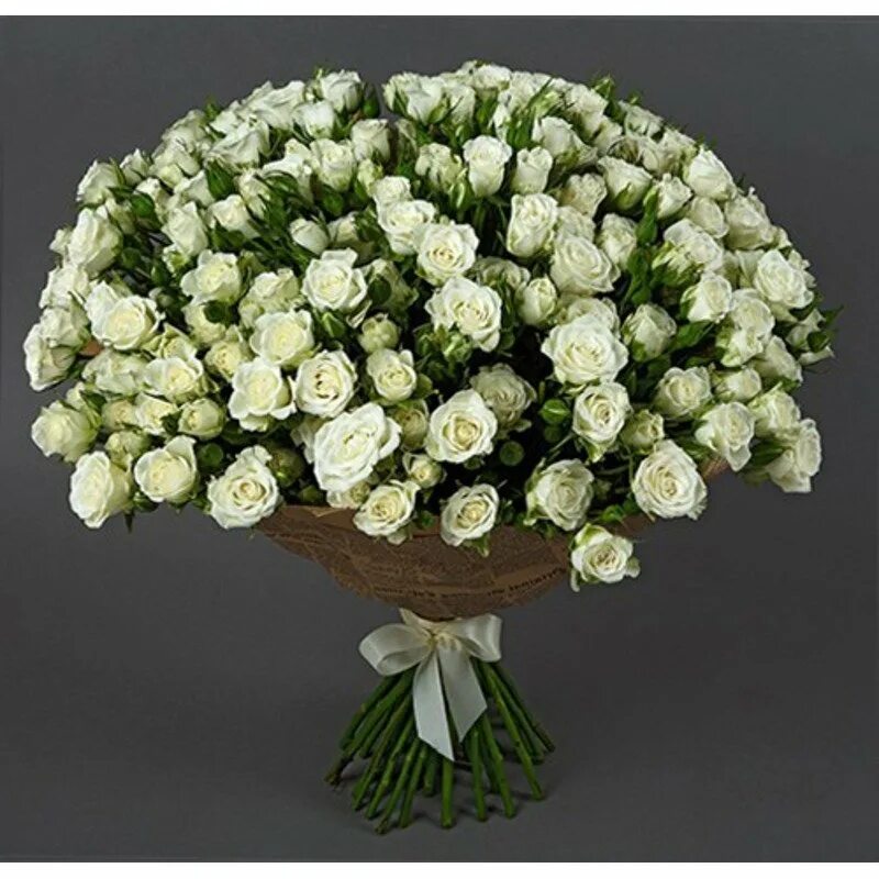 Кустов розы букет. Белые кустовые розы. Букет "кустовая роза белая". Букет из 25 кустовых белых роз. Букет белых кустовых роз.