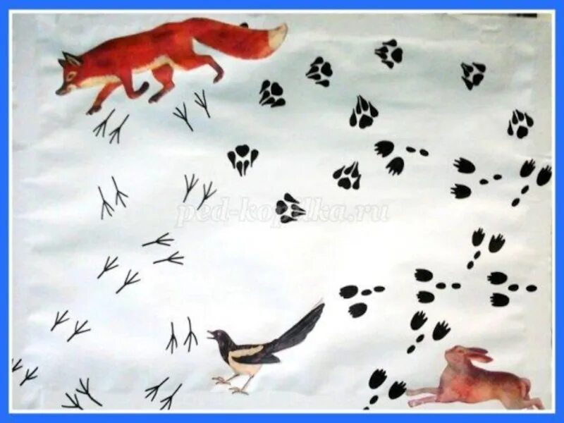 Следы зверей на снегу. Нарисуй следы птиц и зверей на снегу. Нарисуй следы птиц и зверей на снегу. Следы животных на снегу. Нарисуй следы птиц и зверей на снегу.