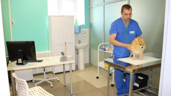 Ветеринарный центр ковчег. Ветеринарный центр,, ковчег,, телефон. Ветеринарная клиника ковчег стерлитамак. 11 ковчег. Ковчег ветеринарная клиника москва.