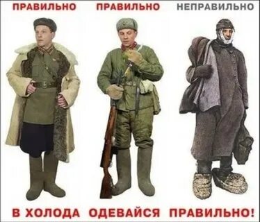 Одевайся верно
