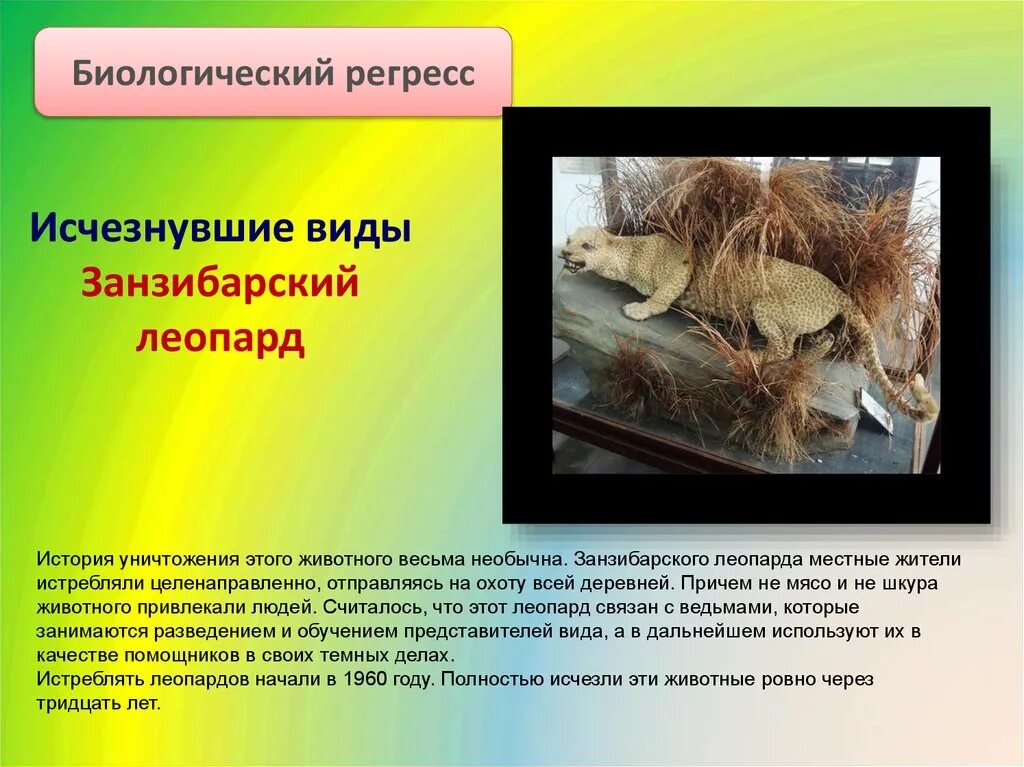 Виды регресса животных