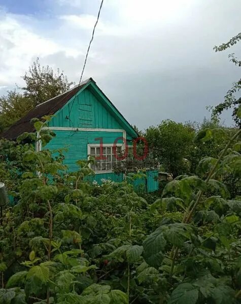 Снт 13 лесовичок ясногорск. Снт ясногорский. Ясногорск дом. Тула снт 53 русское поле. Дача в туле.