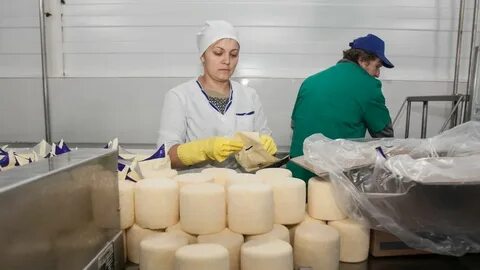 Вакансии сырзавод