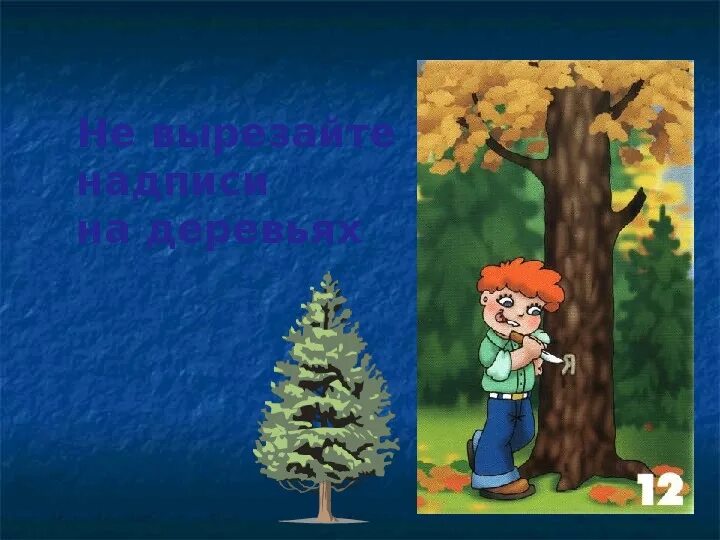 Не ломайте ветки деревьев и кустарников. Запрещается ломать ветки. Не ломай то что было. Запрещается ломать деревья. Не ломай то что было.