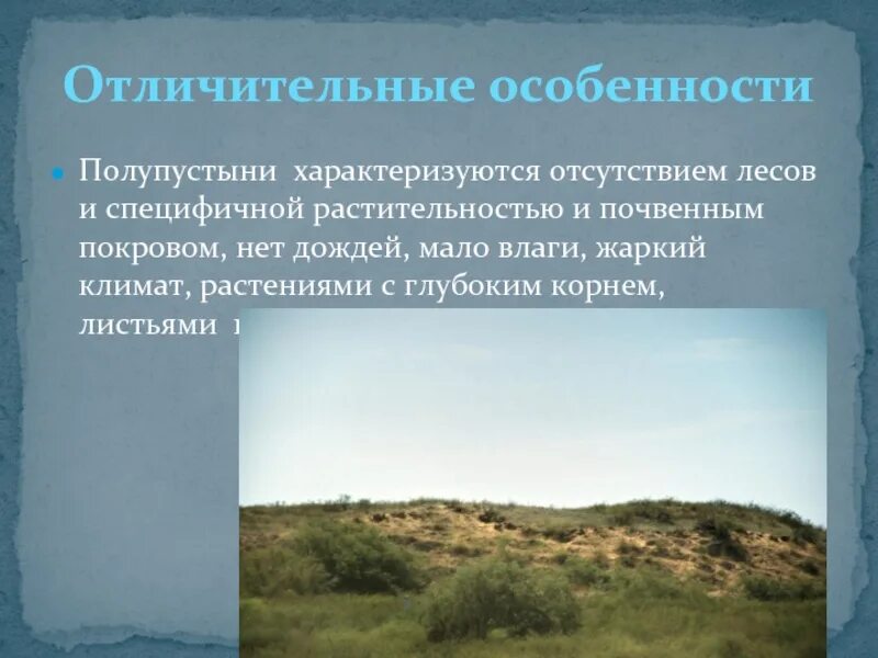 Особенности природы полупустынь