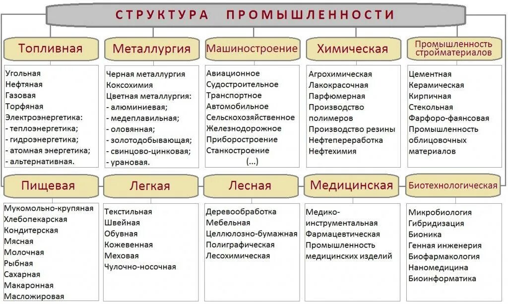 Отрасль виды и примеры