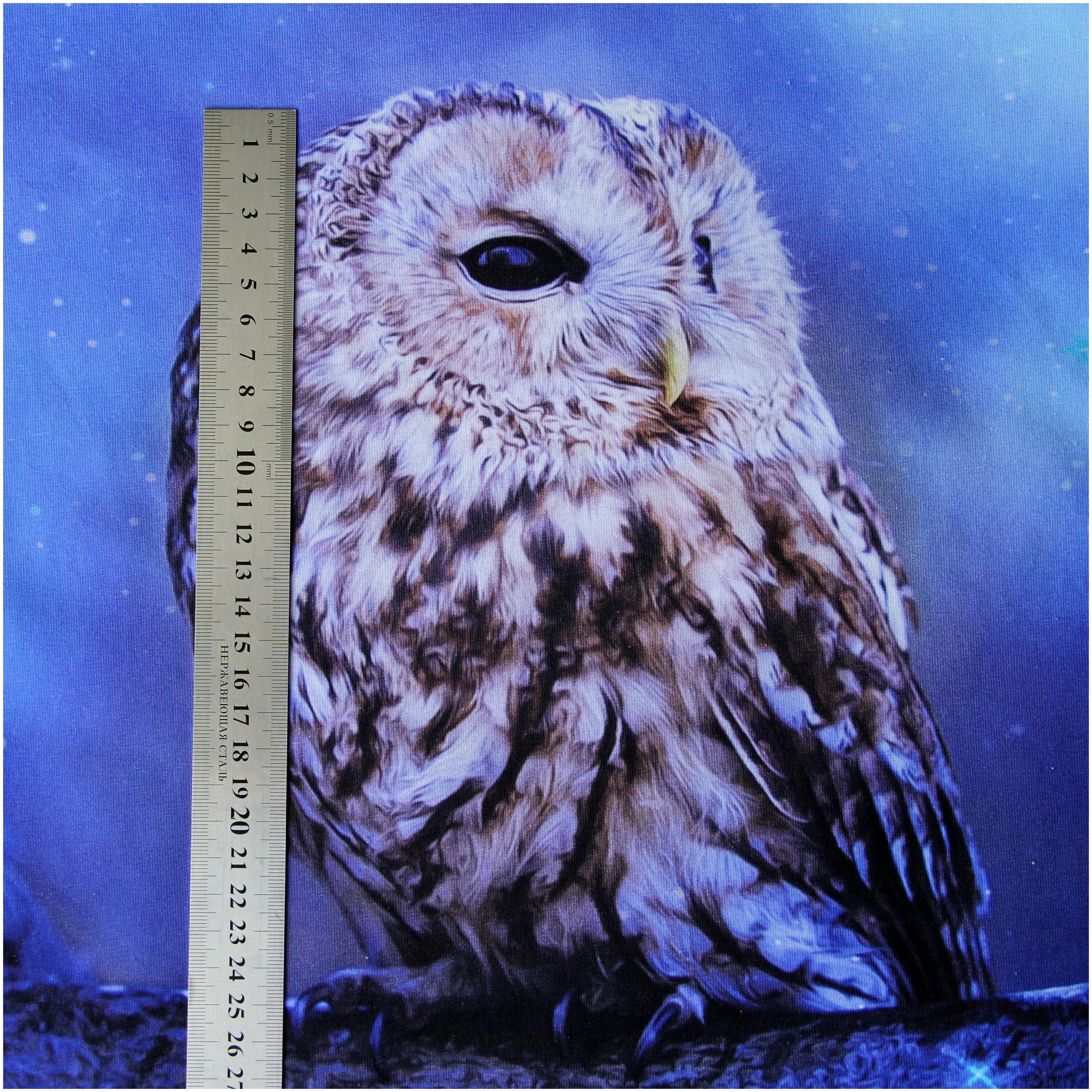 пение ночных сов. пазл сова ночной страж. пение ночных сов. совар. пение ночных сов.