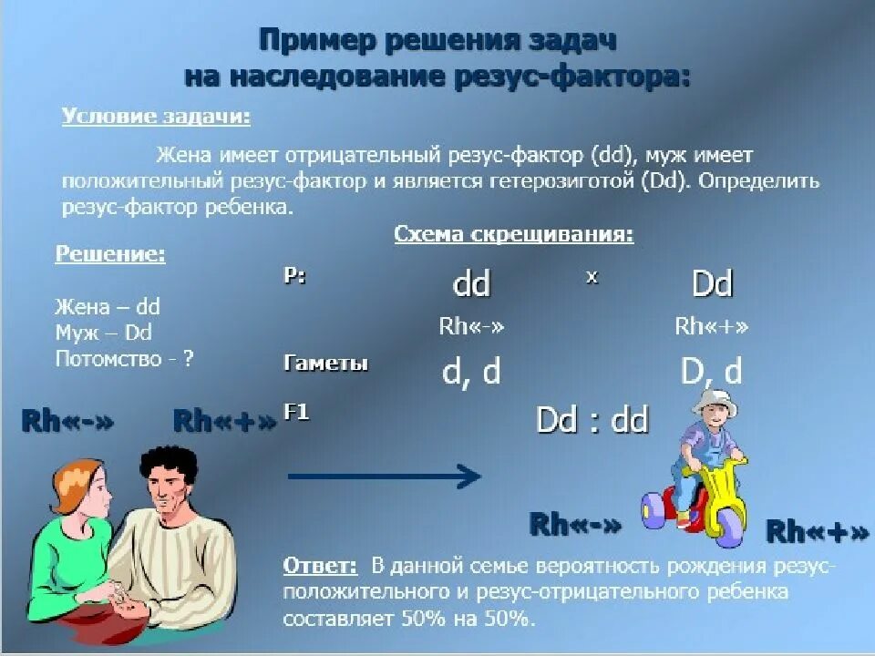 Резус отрицательный рецессивный. Задачи по генетике на группы крови и резус-фактор с решением. Наследование резус фактора задача. Генетические задачи по резус фактору. Задачи на резус фактор.