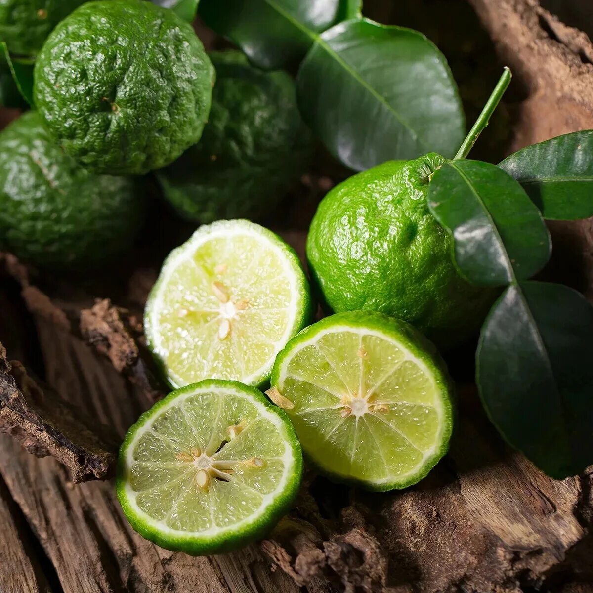 Свежий бергамот. Бергамот растение. Бергамот бергамия. Бергамот бергамия. Бергамот цитрусовые.