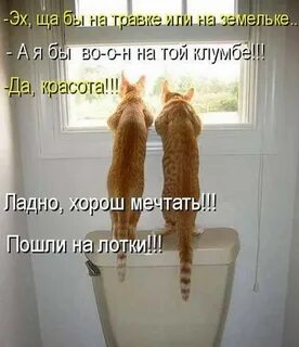 Там возьму
