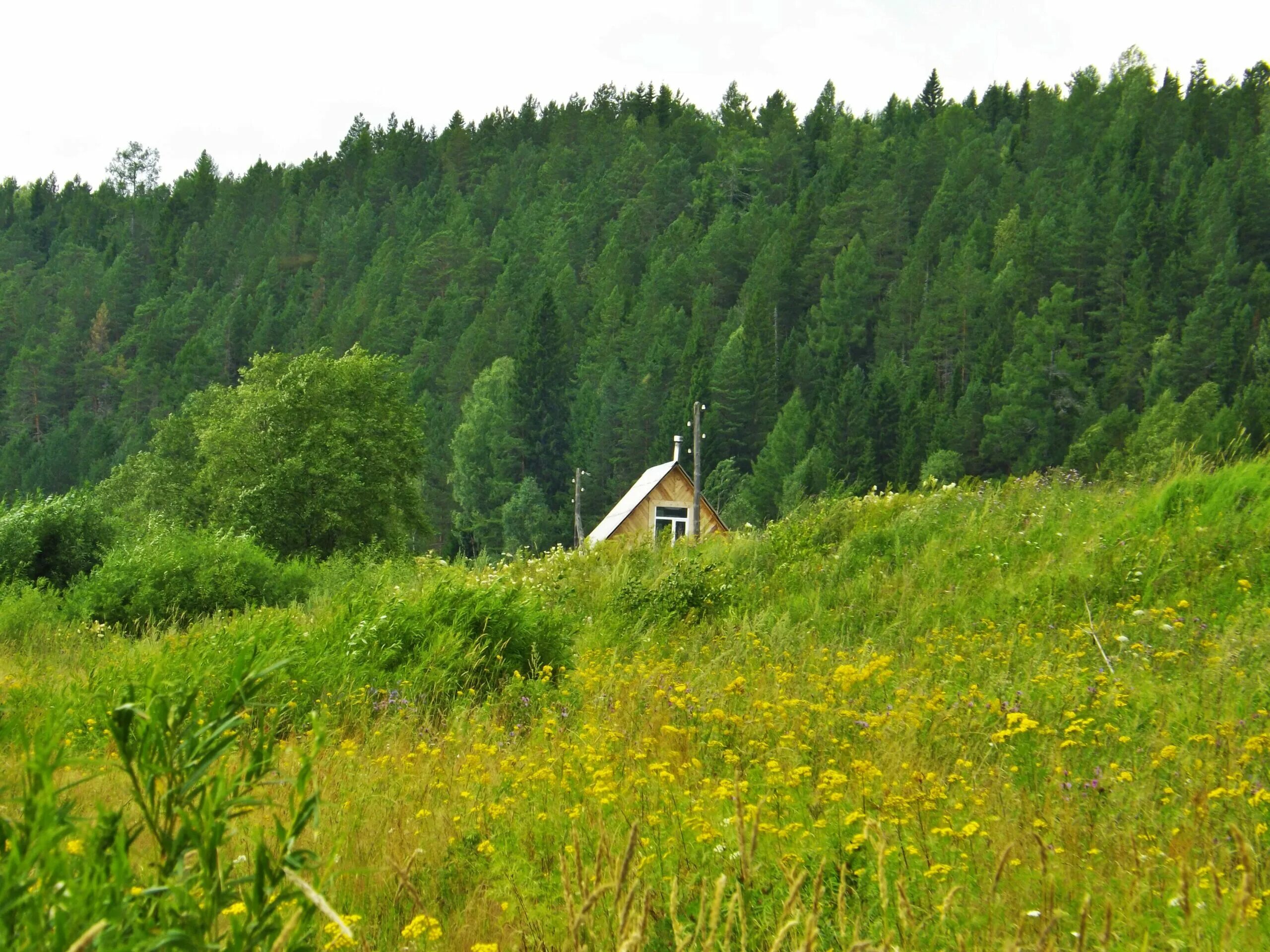 Гора ослянка пермский край. Верхняя ослянка свердловская область. Ослянка нижний тагил. Верхняя ослянка чусовая. Ослянка нижний тагил.