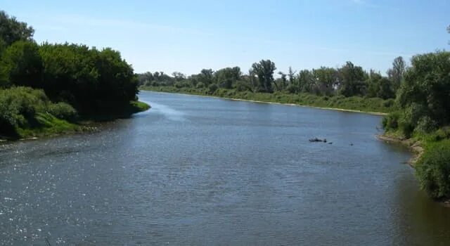 Уровень воды в реке тобол ялуторовск. Река Тобол Курганская область. Курганская область достопримечательности река Тобол. Река Тобол Курганская область фото. Река Тобол в Кургане 1970.