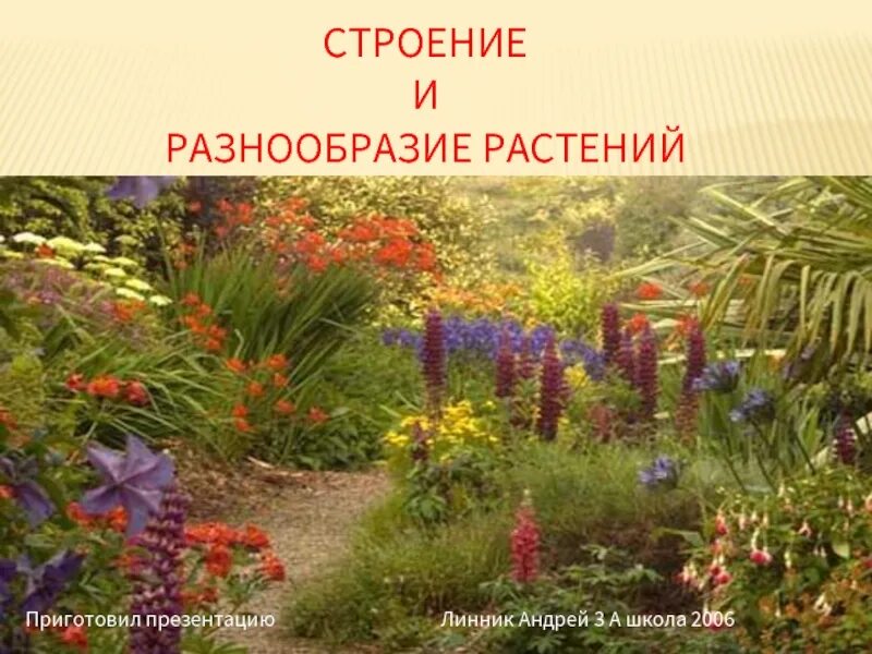 Разнообразие растений видеоурок. Строение и разнообразие растений. строение и разнообразие растений презентация. разнообразие растений 3. строение и разнообразие растений строение растений.