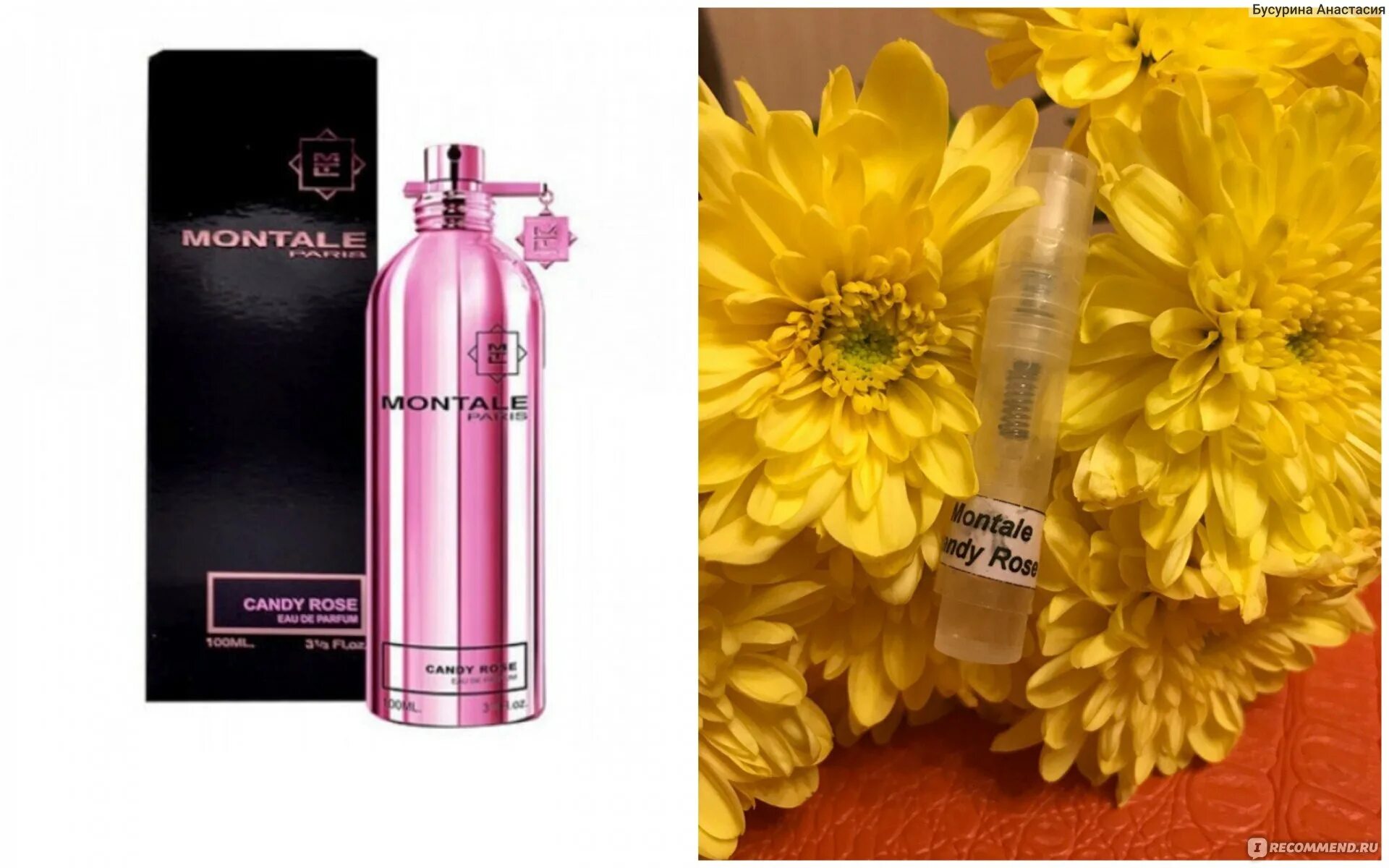 Монталь Кэнди Роуз. Рени Montale Candy Rose. Montale Candy Rose коммерческая реклама. Montale Candy Rose реклама. Montale candy