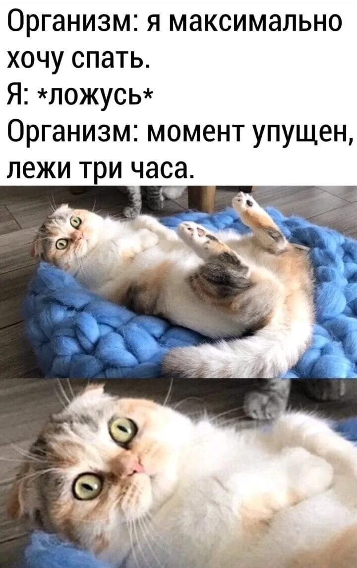 Момент упущен. Хочу спать. Пропустим момент. Пропустим момент. Пропустим момент.