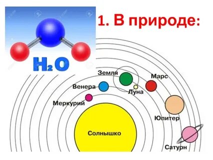 Презентация по естествознанию