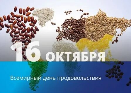 16 октября всемирный день