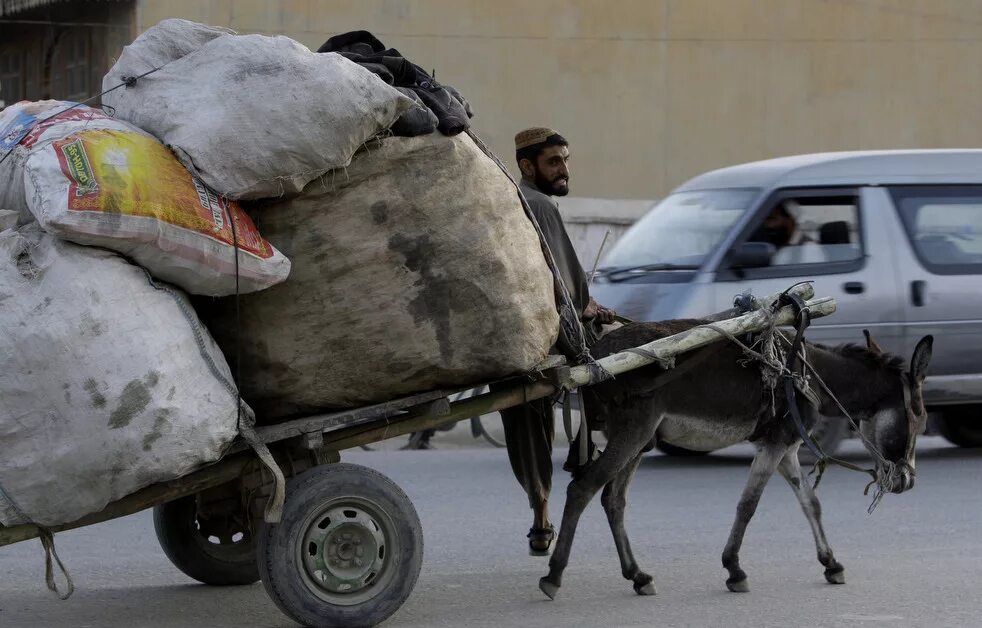 Ослик вези. Настольная игра осёл. Повозка с ослом. Ослик вези. Ослик игра.