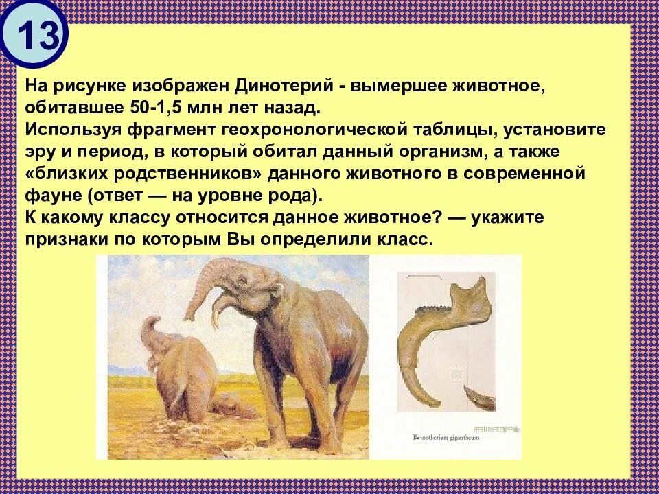 Назовите данные вымершие организмы. Динотерий Эра и период. Динотерий признаки млекопитающих. На рисунке Динотерий вымершее животное обитавшее 50-1.5 млн лет. Вымеришие животные 1млн лет назад.