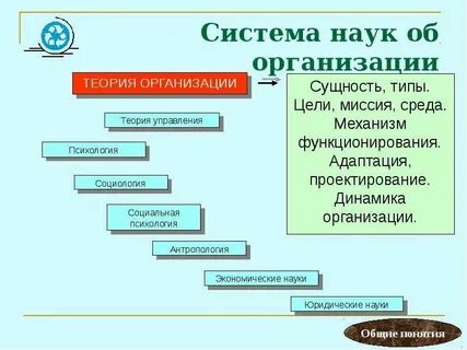 Структура и системы организации теория организации
