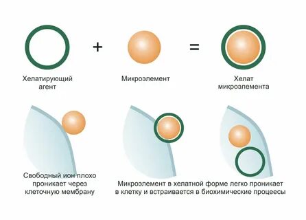 Хелаторы