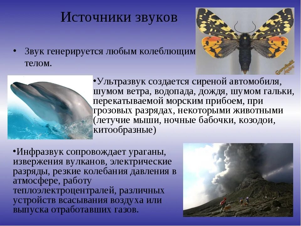 Сообщение на тему звуки