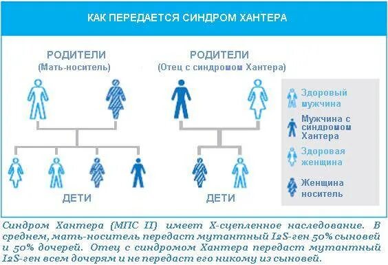 По какой линии передается двойня. Схема передачи шизофрении по наследству. шизофрения передается по наследству. передается ли шизофрения по наследству. схема передачи шизофрении по наследству от матери.