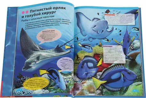 Иллюстрированный мир