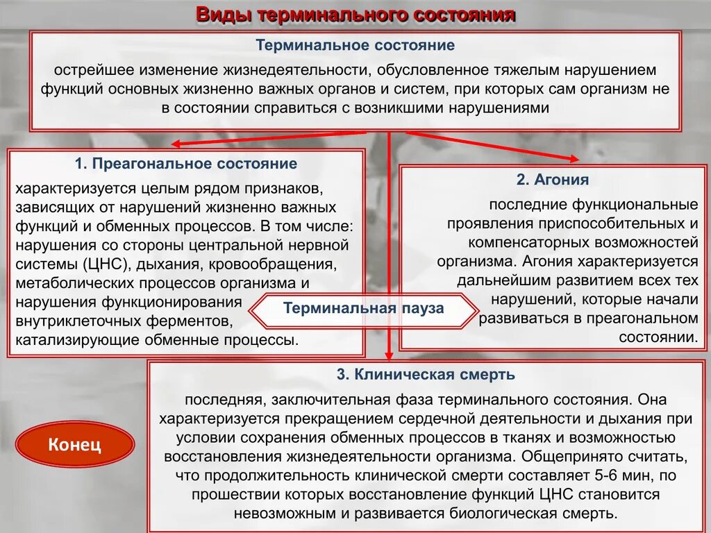 Основные признаки нарушения жизненно важных функций организма