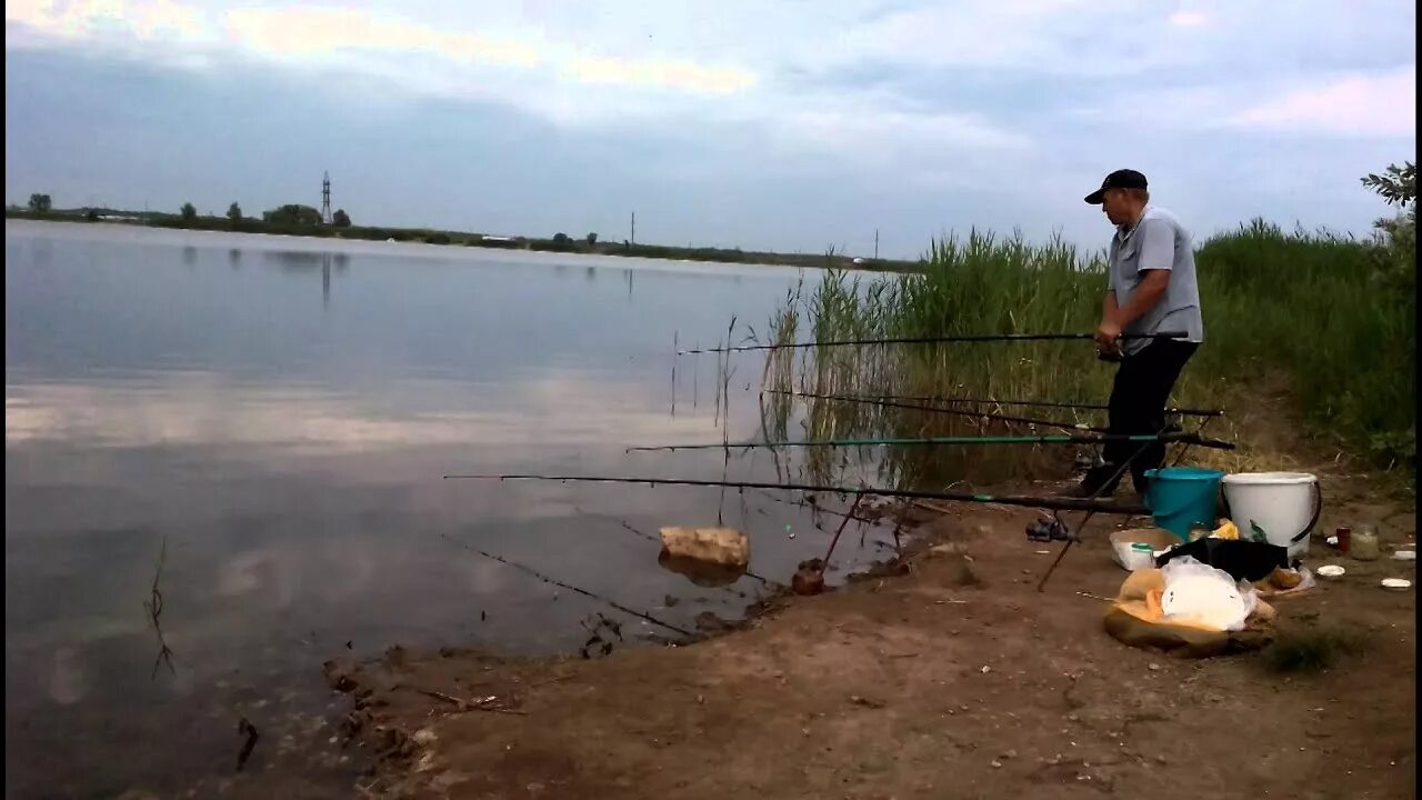 Михайловские пруды самарская область. Михайловский пруд рыбалка. Кинельский остров. Скалы на берегу михайловского пруда. Озеро яицкое самара.