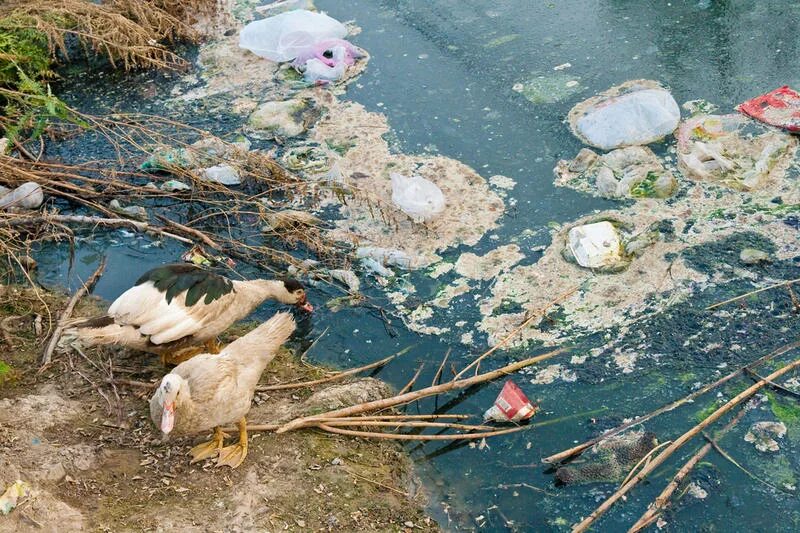 Загрязнение водохранилища. Загрязнение воды. Загрязнение водоемов. Загрязненные водоемы. Экология водоемов.