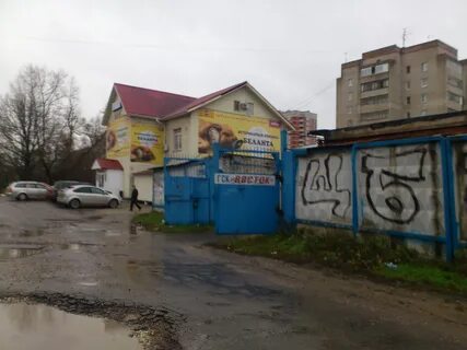 Щербинка восточный