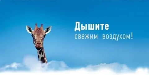 Воздух чист дышится свежо