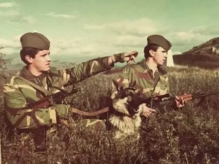 Пограничные войска советского союза
