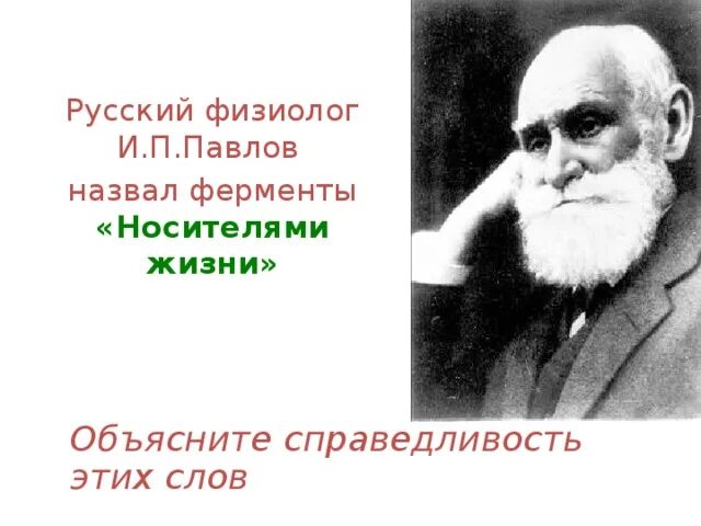 Работа физиологов. И П Павлов физиолог. Павлов ферменты-носители жизни. Русский физиолог Павлов. Физиолог Павлов фото.