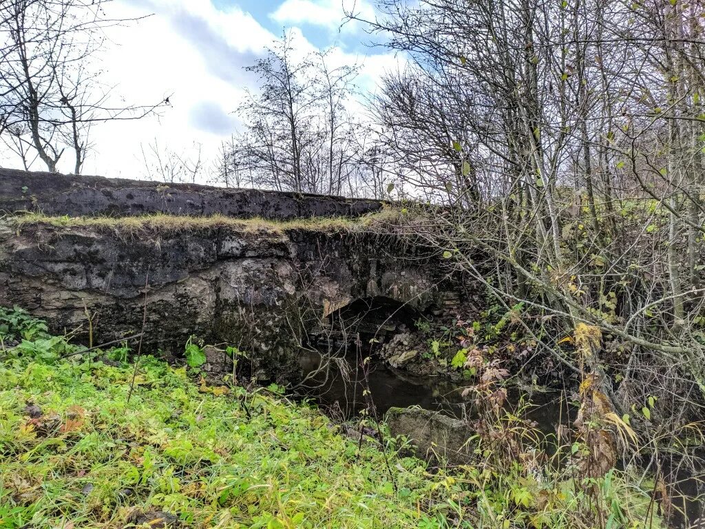 Водовод пяййянне. Таицкий водовод. Спасская мыза. Мыза васильковичи. Ингерманландский языческий фронт.