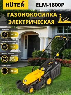 Huter elm 1800
