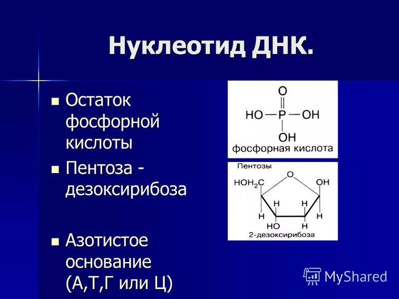 Нуклеиновые кислоты фосфор