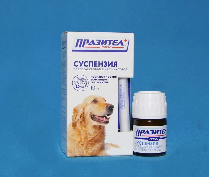 Празител для крупных собак. Суспензии в медицине. празител для собак формы выпуска. суспензия для собак против аллергии. антигистаминные препараты для собак средних пород.