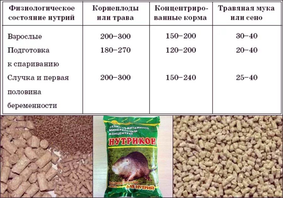 Можно давать нутриям. Корм для нутрий. Комбикорм для нутрий. Гранулированный корм для нутрий. Комбикорм для кроликов.