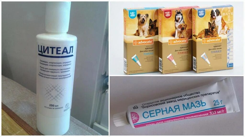 Препараты от демодекоза